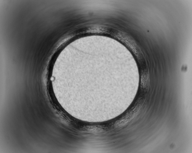 X0000103900724200810101245