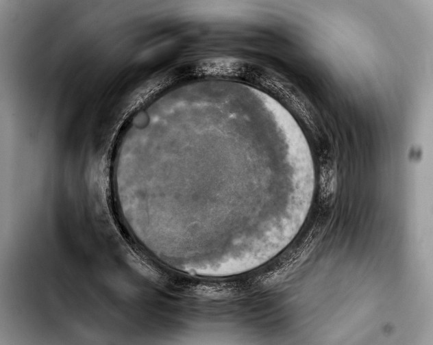 X0000103900725200810101245