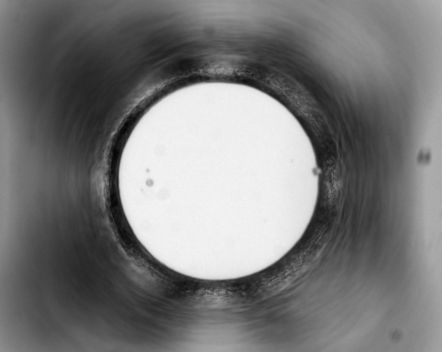 X0000103900728200810101245