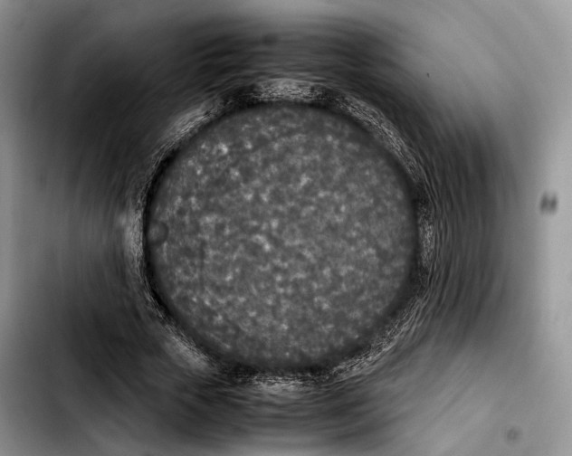 X0000103900729200810101245