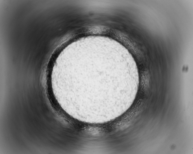 X0000103900730200810101245