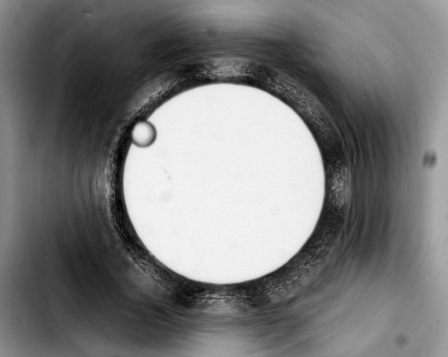 X0000103900732200810101245