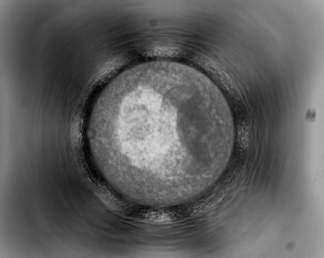 X0000103900735200810101245