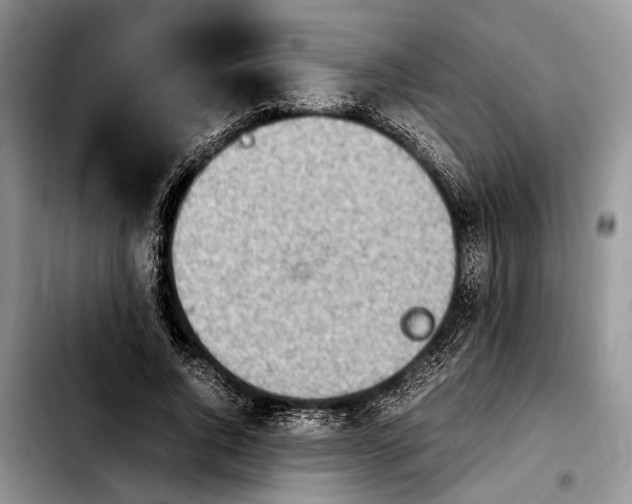 X0000103900736200810101245