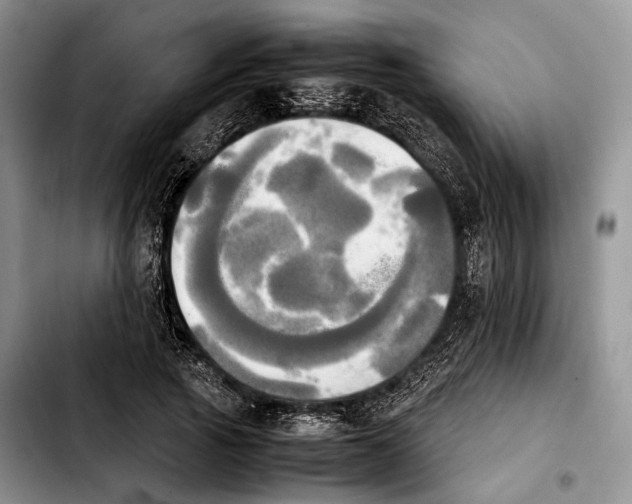 X0000103900737200810101245