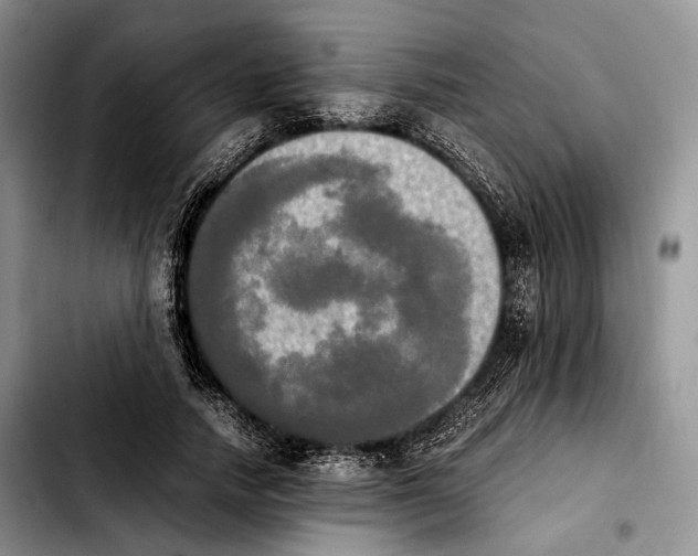 X0000103900738200810101245