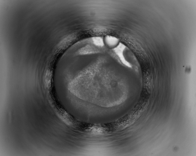 X0000103900742200810101245