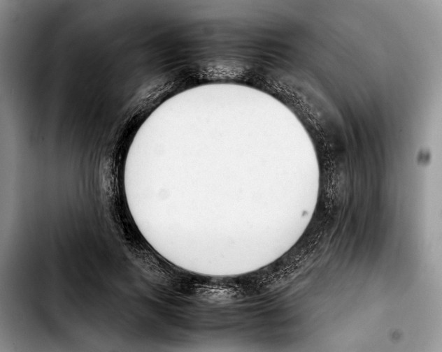 X0000103900743200810101245