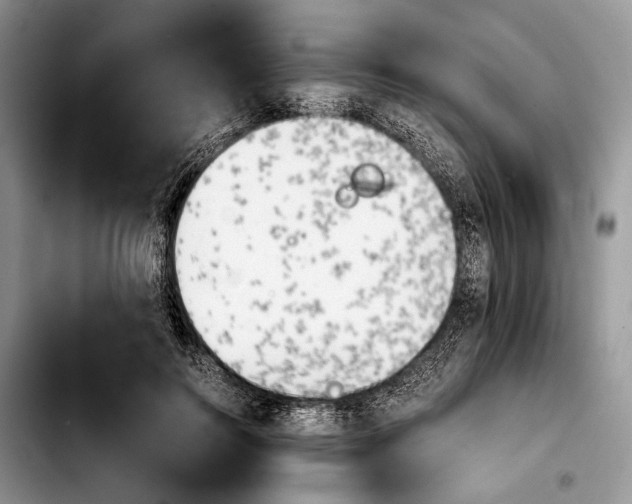 X0000103900744200810101245