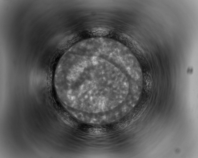 X0000103900745200810101245