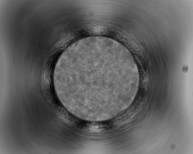 X0000103900746200810101245