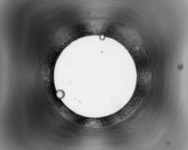 X0000103900750200810101245