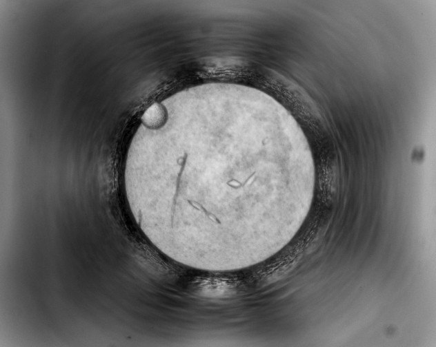 X0000103900751200810101245