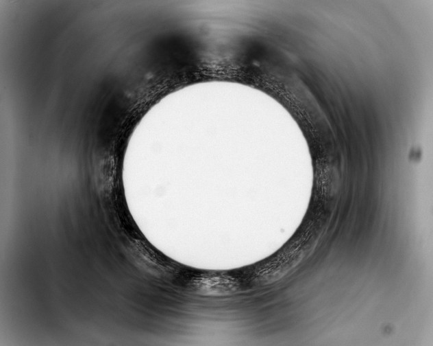 X0000103900752200810101245