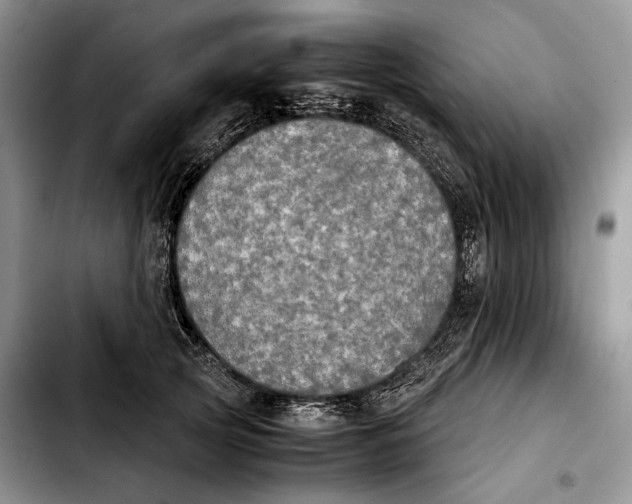 X0000103900753200810101245