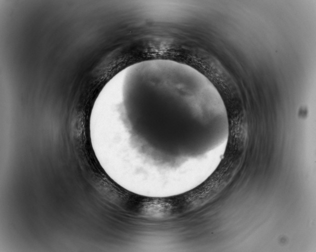 X0000103900754200810101245