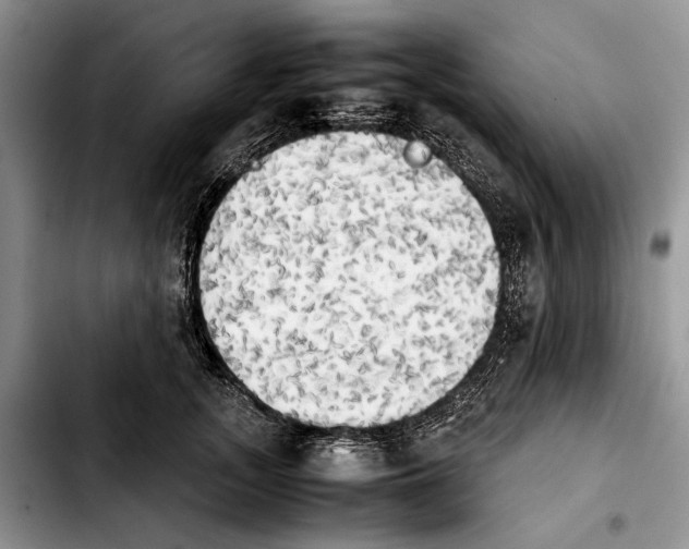 X0000103900755200810101245