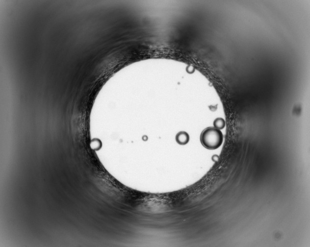 X0000103900756200810101245