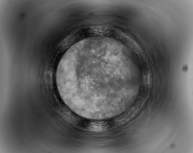 X0000103900757200810101245