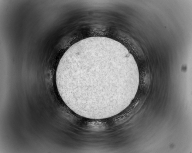 X0000103900759200810101245