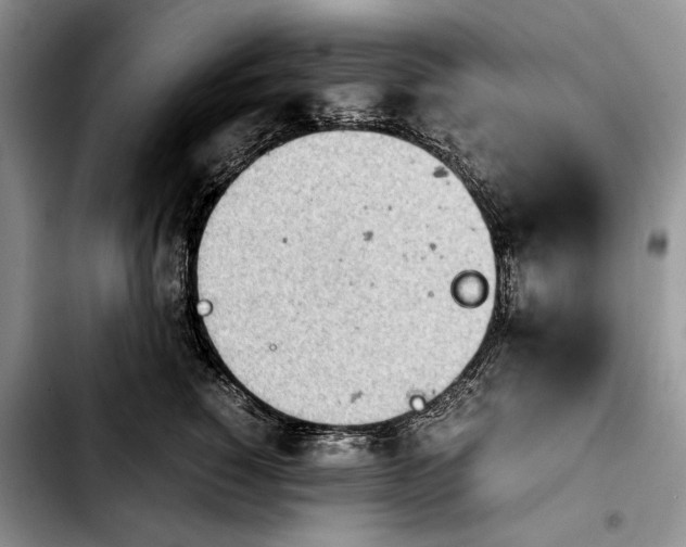 X0000103900760200810101245