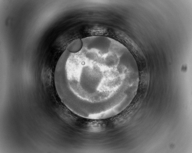 X0000103900761200810101245