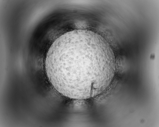 X0000103900762200810101245