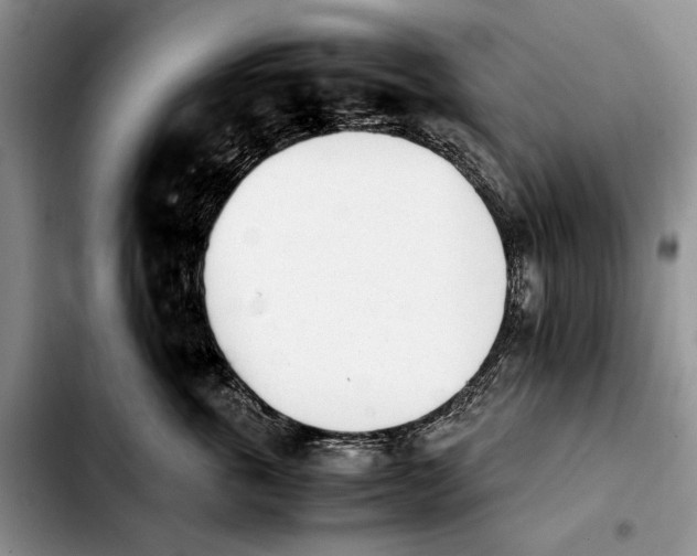 X0000103900763200810101245