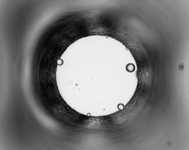 X0000103900764200810101245