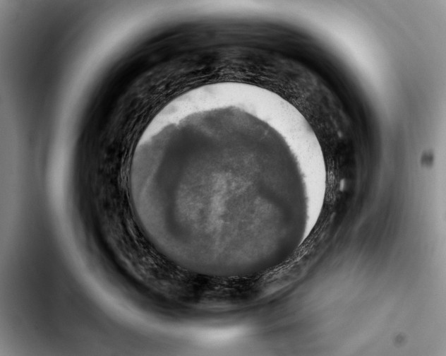 X0000103900765200810101245