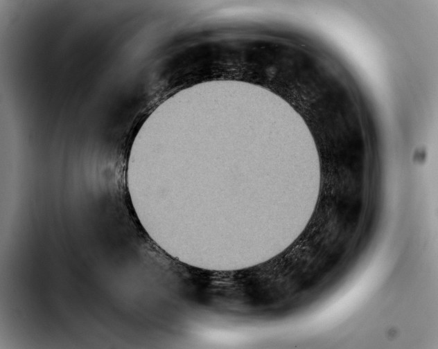 X0000103900766200810101245