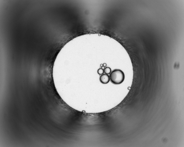 X0000103900768200810101245