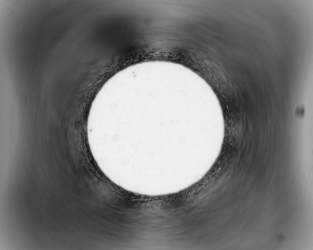 X0000103900769200810101245