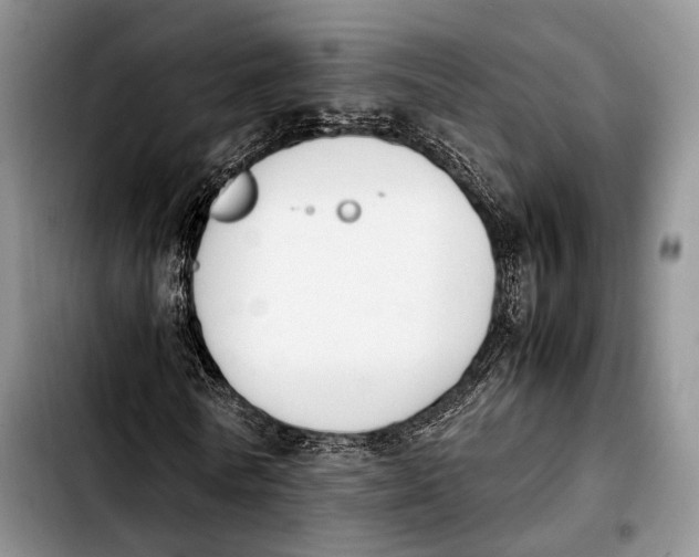 X0000103900770200810101245