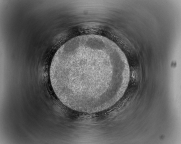 X0000103900771200810101245