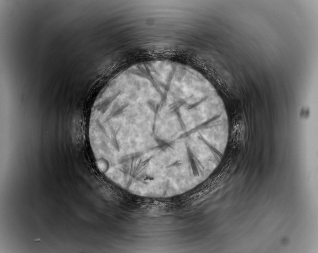 X0000103900772200810101244