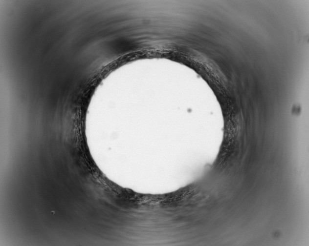 X0000103900773200810101244