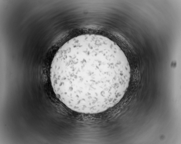 X0000103900774200810101244