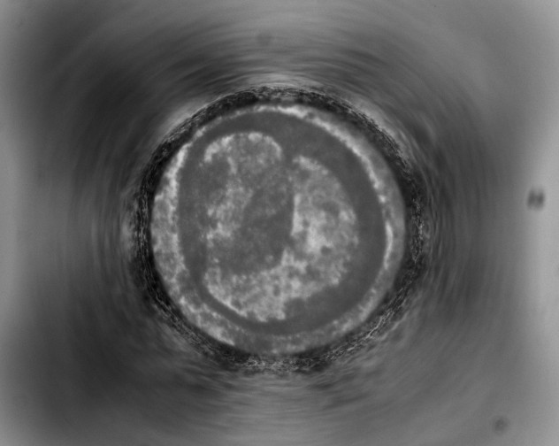 X0000103900775200810101244