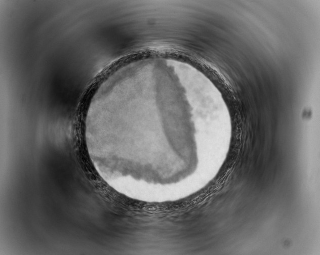 X0000103900776200810101244