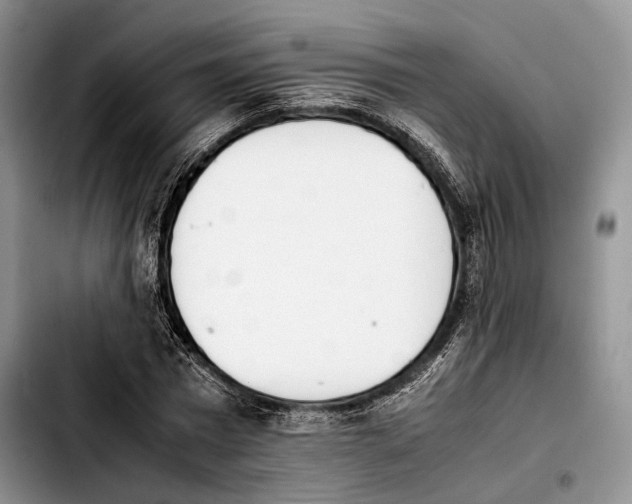 X0000103900777200810101244