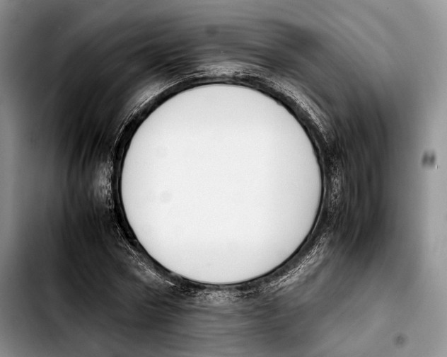 X0000103900778200810101244