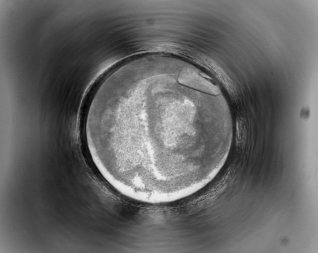 X0000103900780200810101244