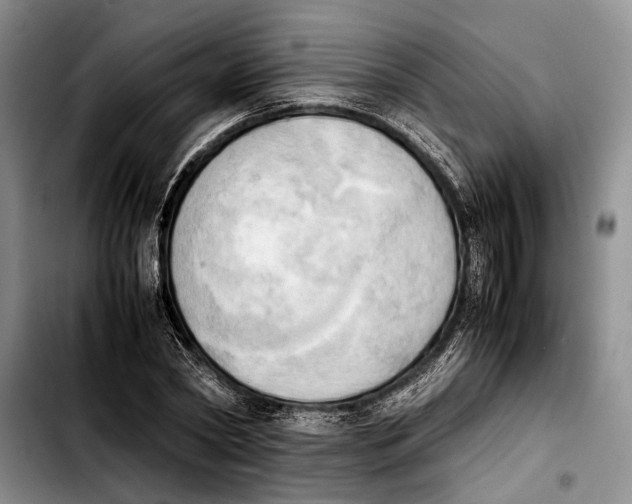 X0000103900782200810101244