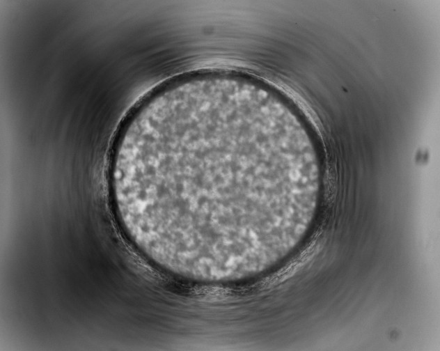 X0000103900783200810101244