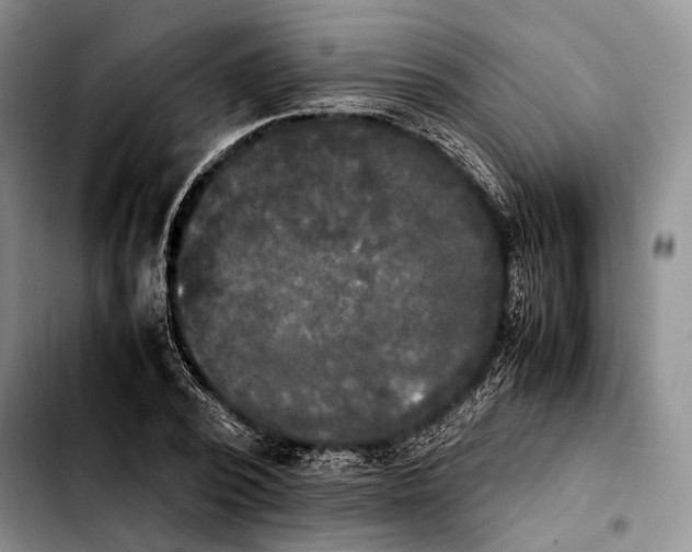 X0000103900784200810101244