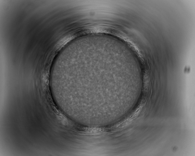 X0000103900785200810101244