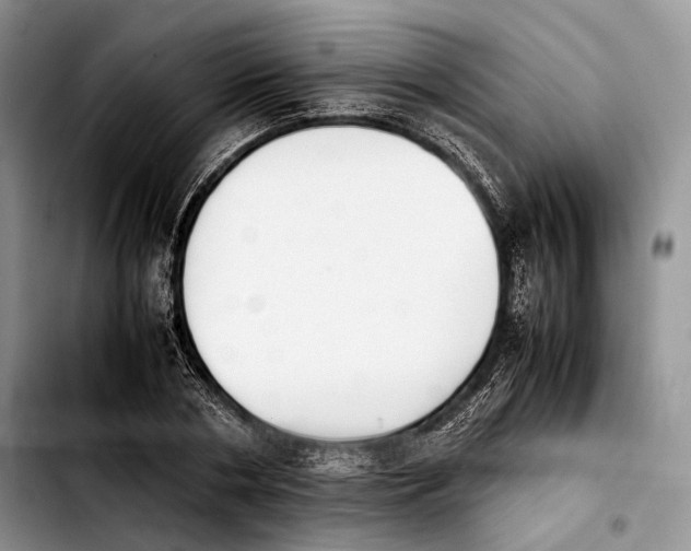 X0000103900786200810101244