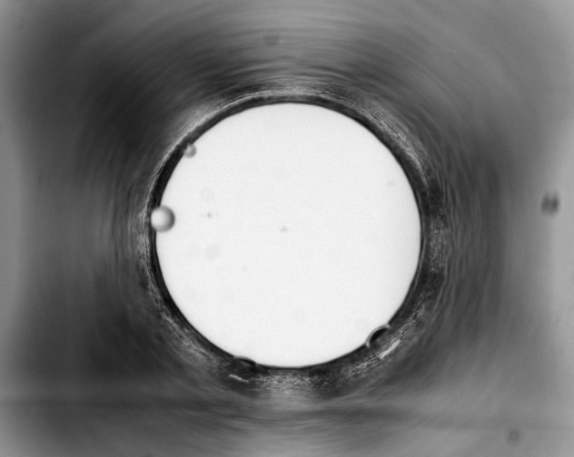 X0000103900789200810101244