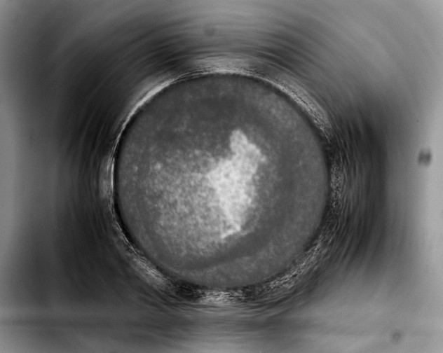 X0000103900790200810101244